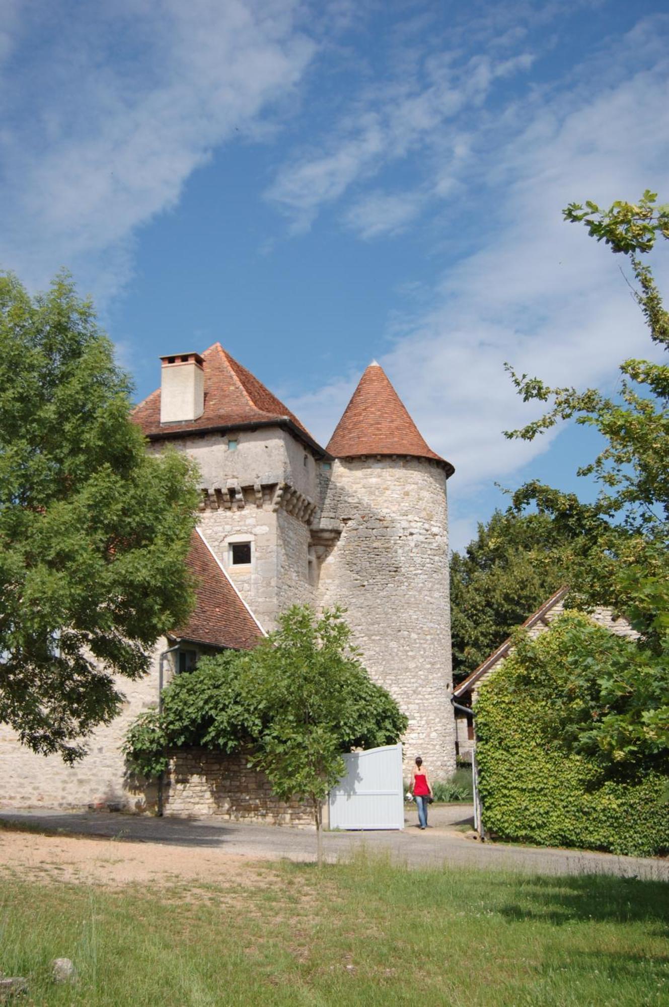Chateau De Camboulan Ambeyrac Екстер'єр фото