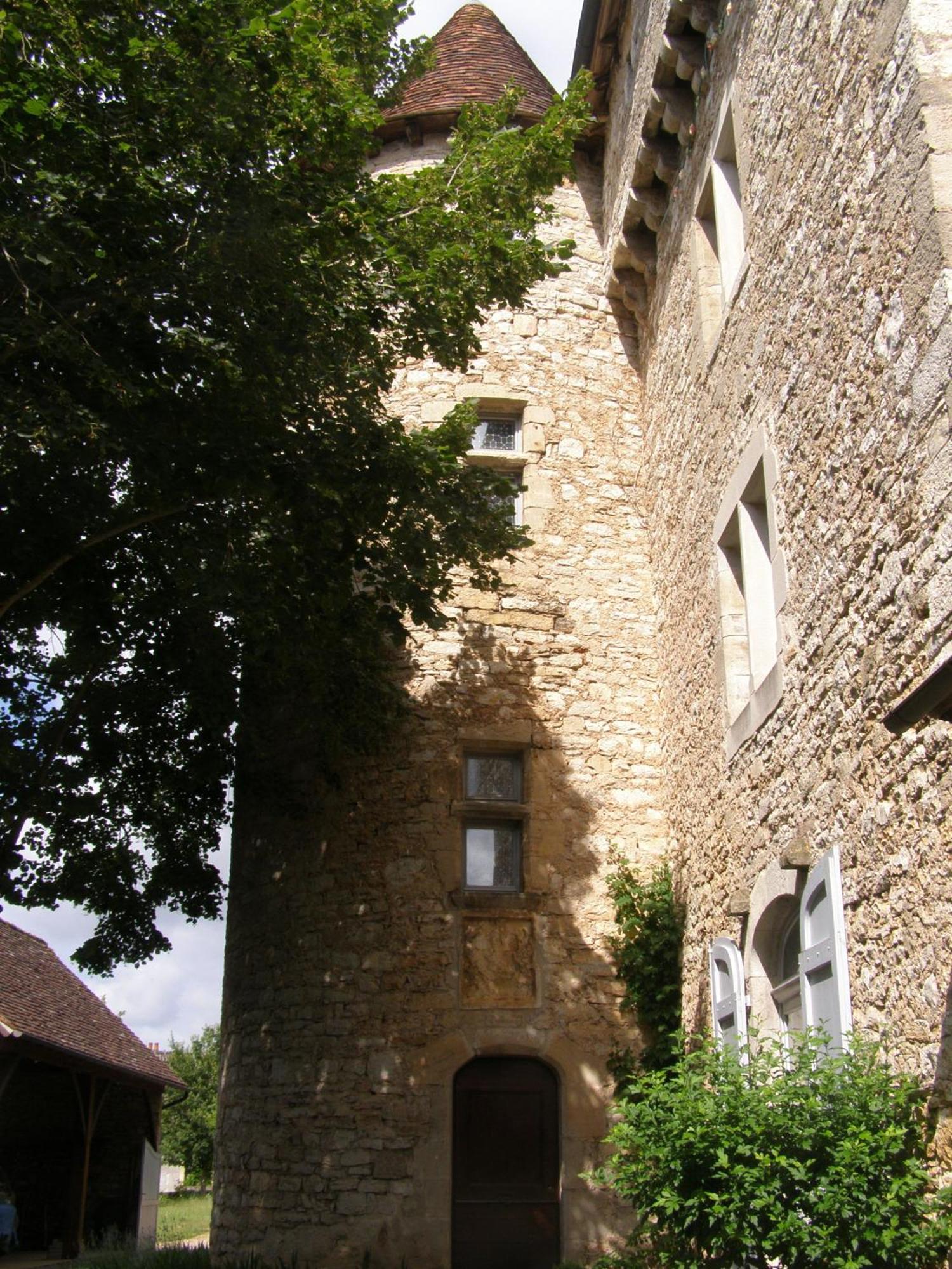 Chateau De Camboulan Ambeyrac Екстер'єр фото